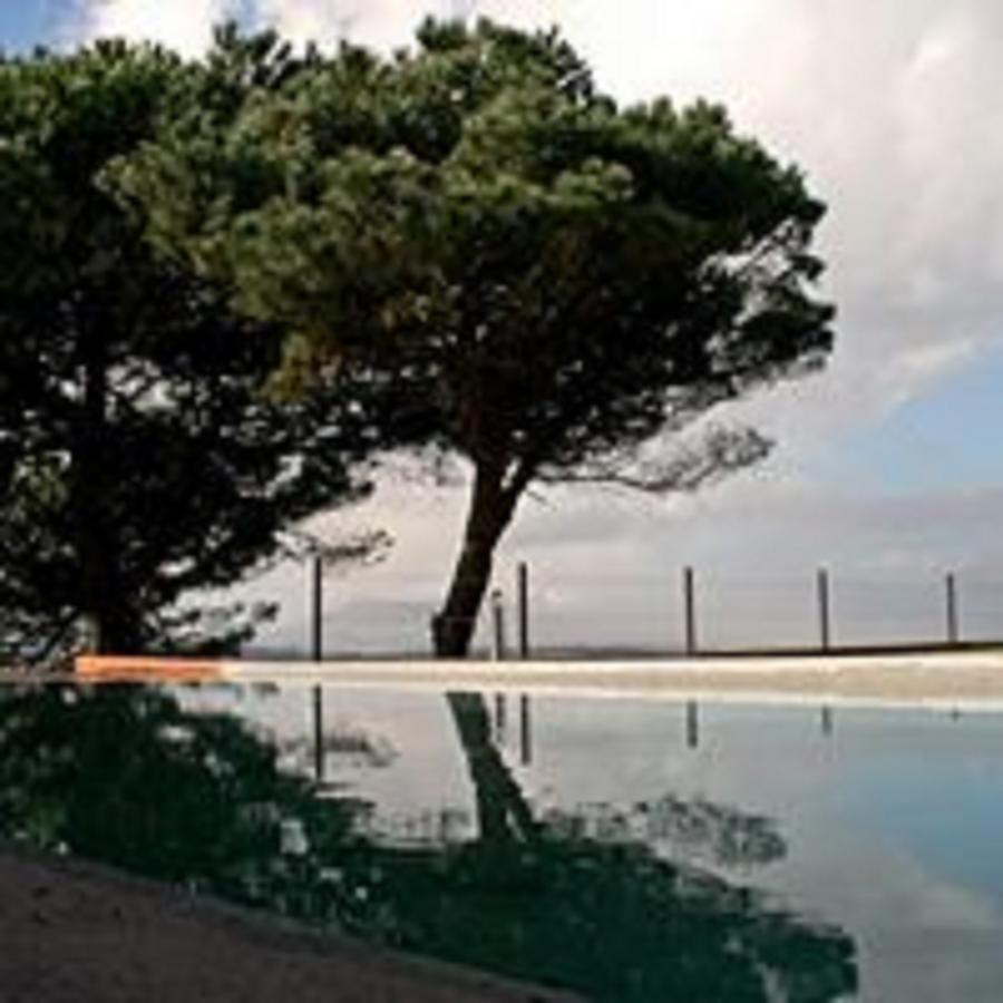Отель Shepinetree - Pinheira Vale de Lobos Экстерьер фото